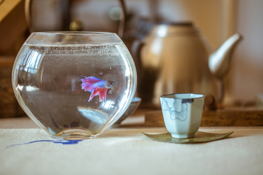 魚缸