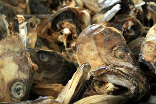 魚干的頭