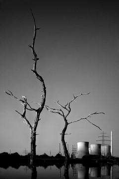 自然與技術(shù)