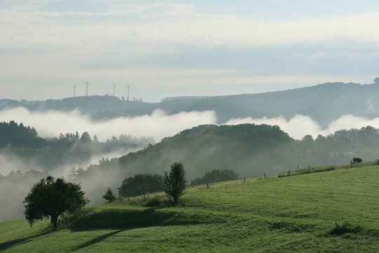 morgennebel7