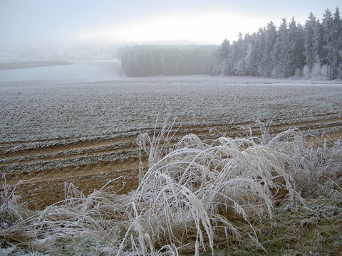 raureiflandschaft