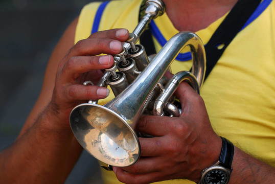 musical instrument