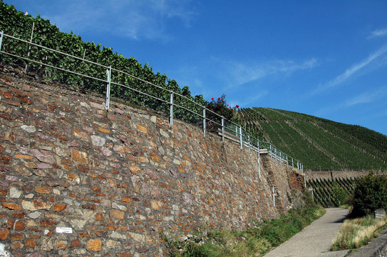 砌體rotweinwanderweg