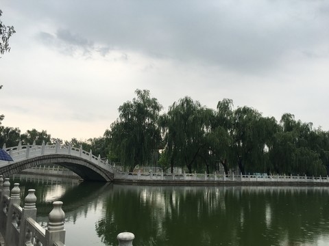 橋梁 湖水 綠樹