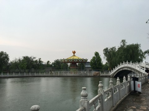 旋轉(zhuǎn)木馬 湖水