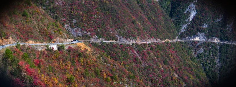 重慶紅池壩高山草場