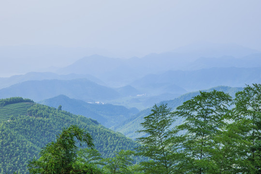 竹林遠(yuǎn)山