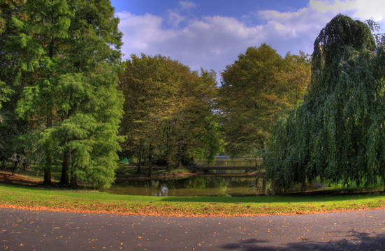 在公園7