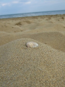 藍(lán)色