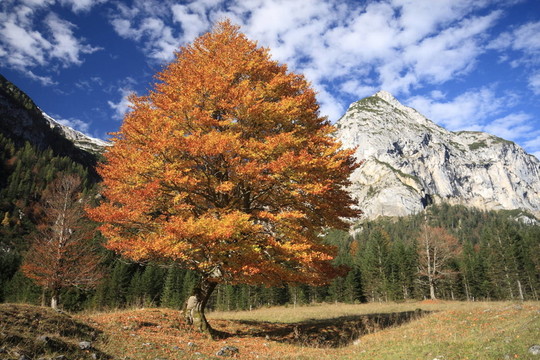 秋天的阿爾卑斯山