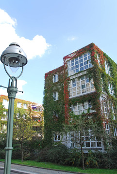 自然與建筑