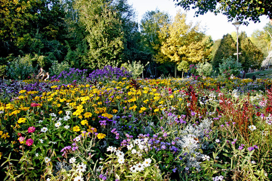 公園