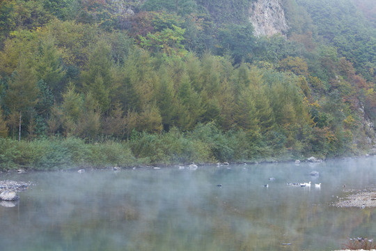 湖