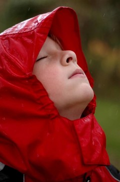 陣雨
