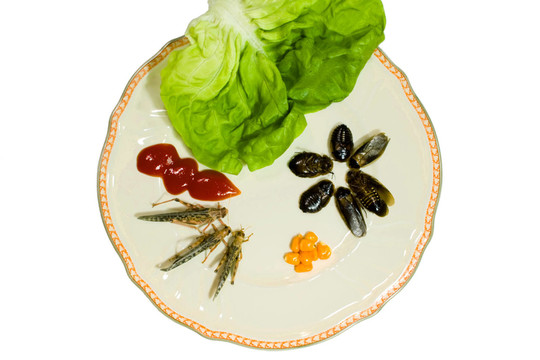 Bon Appetit II