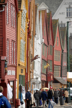 bergen2