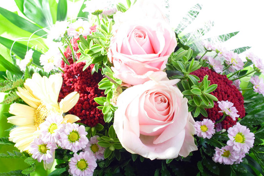 一束花
