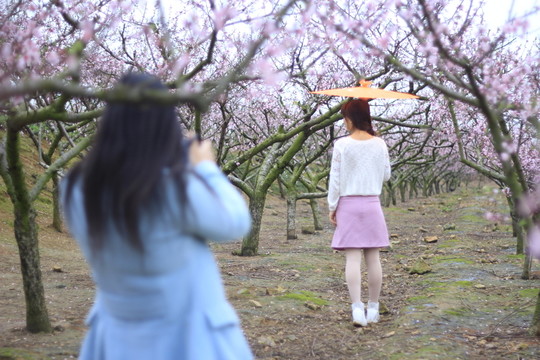 桃花海中拍人像