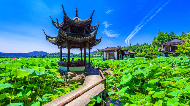 曲院風(fēng)荷 西湖風(fēng)光