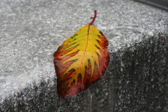 樓梯