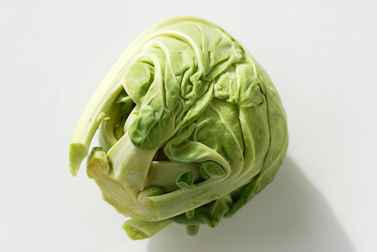 單品布魯塞爾芽果