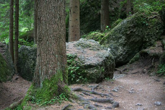 弗蘭肯林山