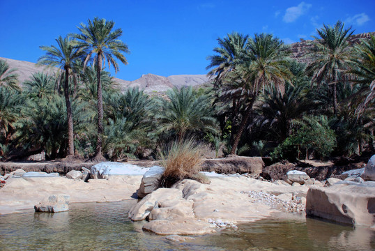 wadi bani khalid