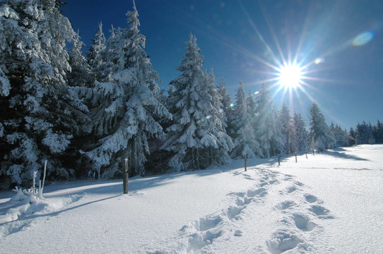 wintersonne 1
