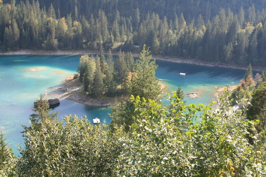 在電影caumasee GR