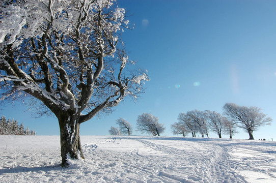 winter landscape 3