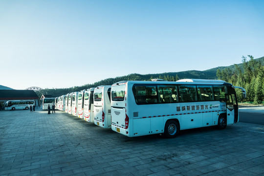 排的整齊的喀納斯旅游擺渡車