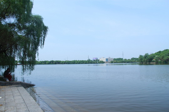 望城斑馬湖公園