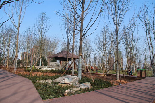沙灣公園
