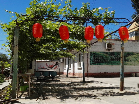 農(nóng)家樂 鄉(xiāng)村小吃