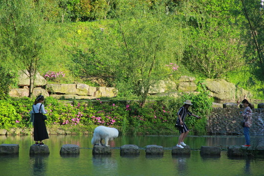 長(zhǎng)沙梅溪湖桃花嶺公園