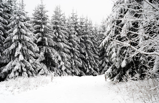 下雪的