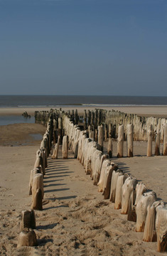 buhnenreste