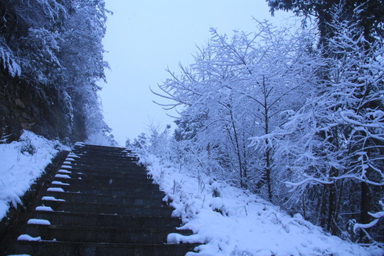 長(zhǎng)沙梅溪湖桃花嶺雪景