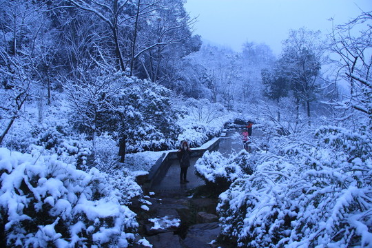 長沙梅溪湖桃花嶺雪景
