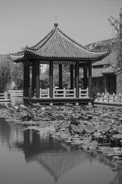 亭子 黑白照