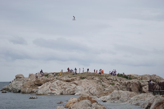 養(yǎng)馬島的海