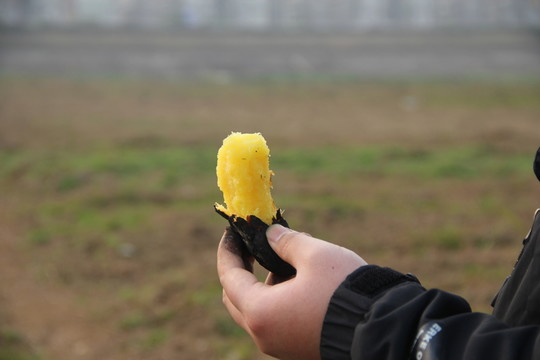 烤焦的紅薯
