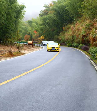 竹海 公路 小車 塔川旅游