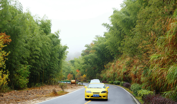 皖南竹海公路小車