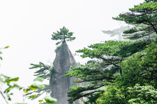 黃山夢筆生花美景