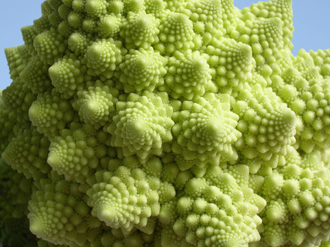 綠色蔬菜