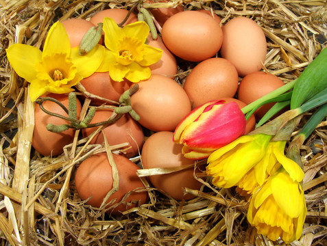 easternest