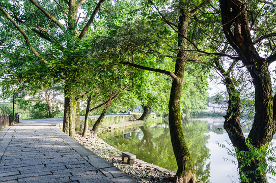 宏村南湖美景