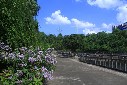 星沙公園