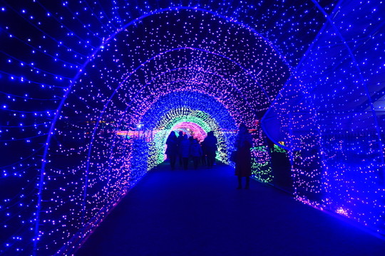 燈展時(shí)光隧道